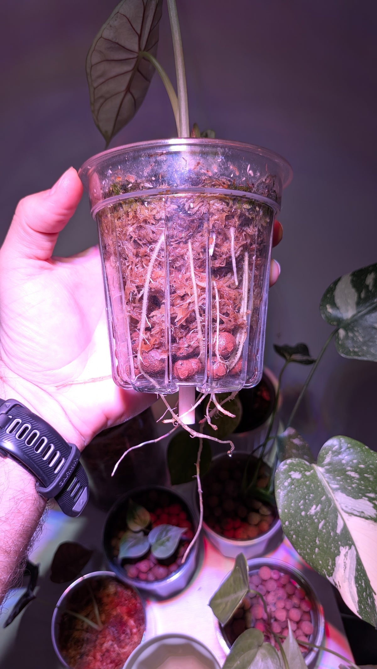 Twin Pot Set