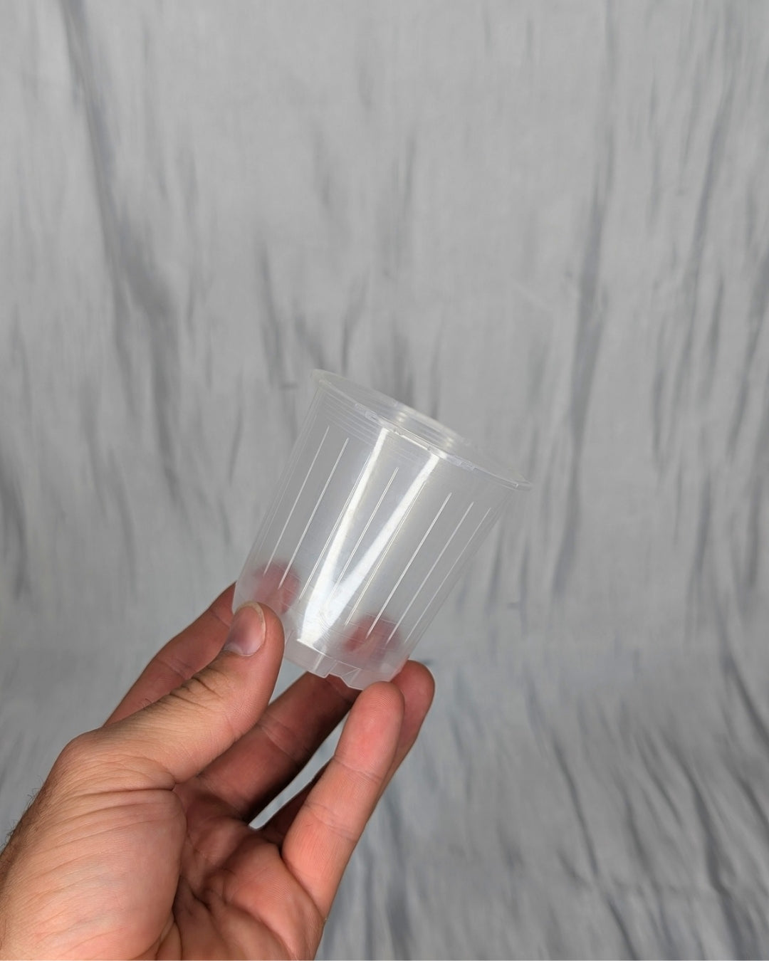 Clear Nursery Pots