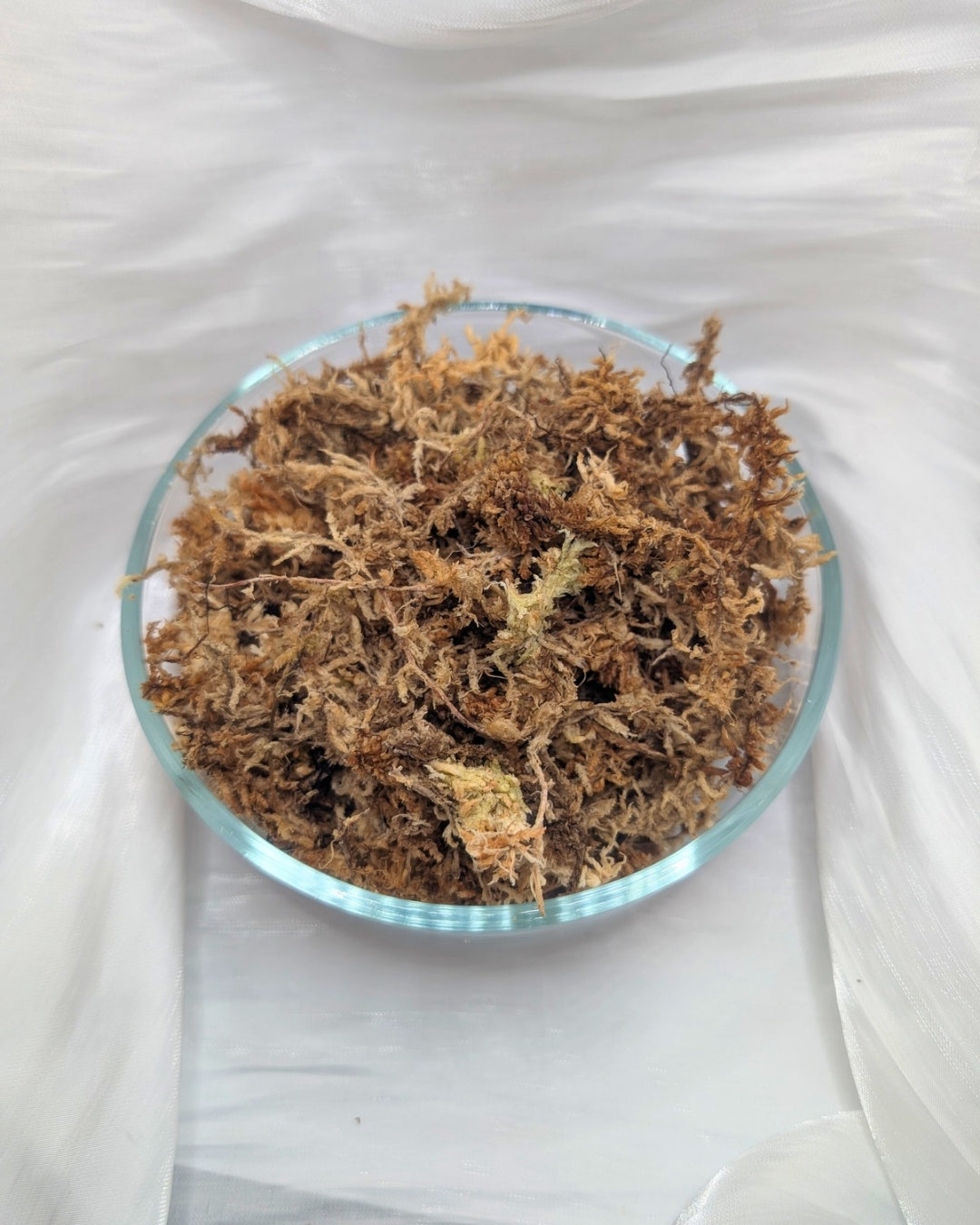 New Zealand Sphagnum Moss