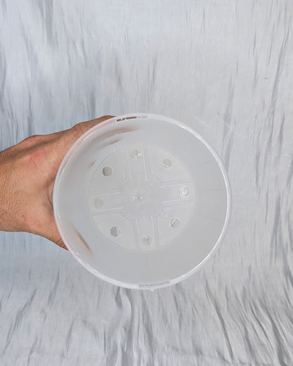 Clear Nursery Pots