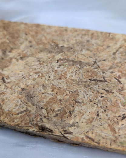 New Zealand Sphagnum Moss