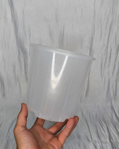 Clear Nursery Pots