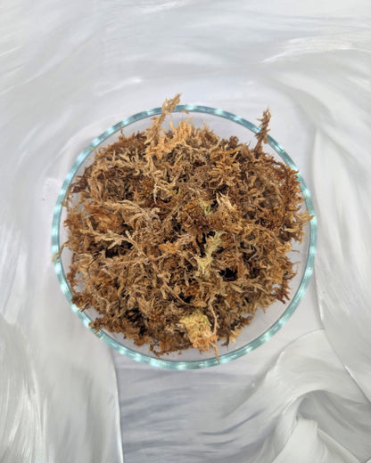 New Zealand Sphagnum Moss