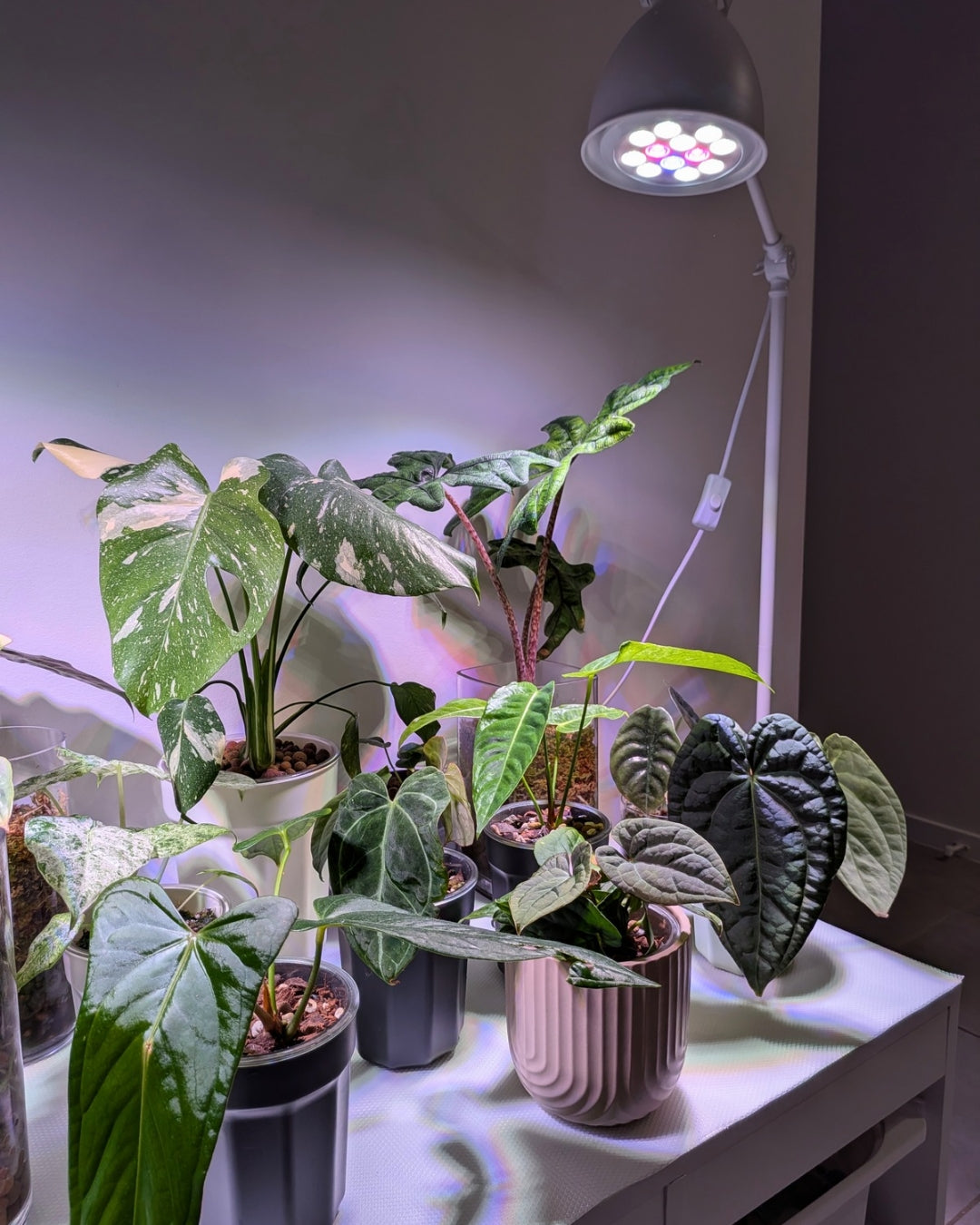 Varigate Grow Bulb