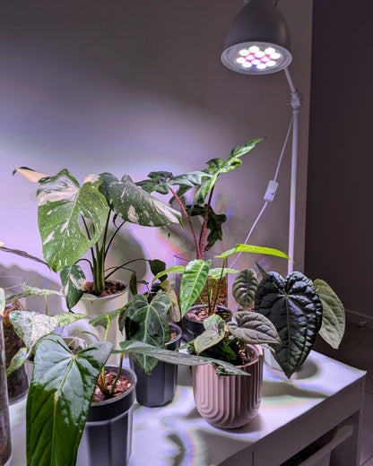 Varigate Grow Bulb